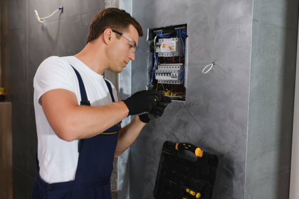 Best Electric Panel Repair  in Thunder Mountain, NM